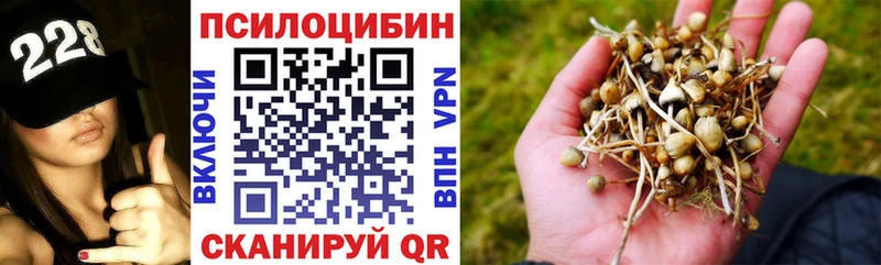 blacksprut онион  Бузулук  Псилоцибиновые грибы Cubensis  продажа наркотиков 